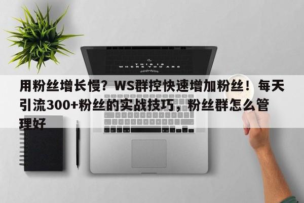 用粉丝增长慢?WS群控快速增加粉丝!每天引流300+粉丝的实战技巧,粉丝群怎么管理好