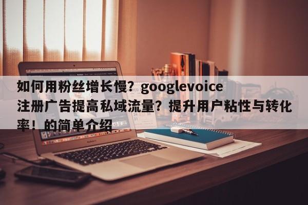 如何用粉丝增长慢?googlevoice注册广告提高私域流量?提升用户粘性与转化率!的简单介绍