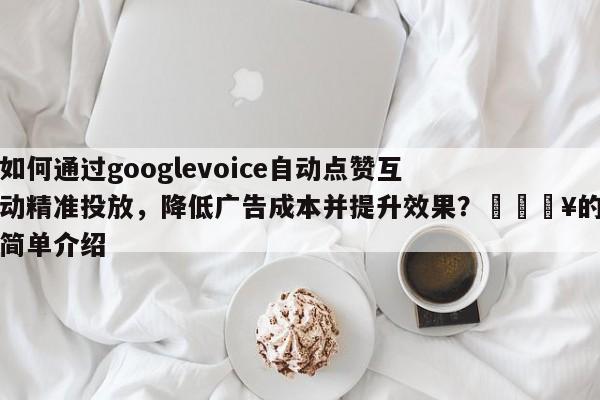 如何通过googlevoice自动点赞互动精准投放，降低广告成本并提升效果？🔥的简单介绍