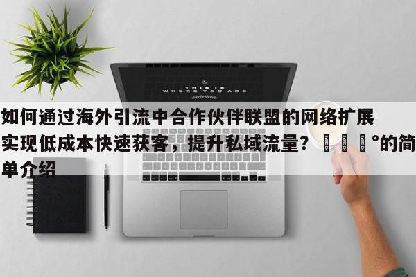如何通过海外引流中合作伙伴联盟的网络扩展实现低成本快速获客，提升私域流量？💰的简单介绍