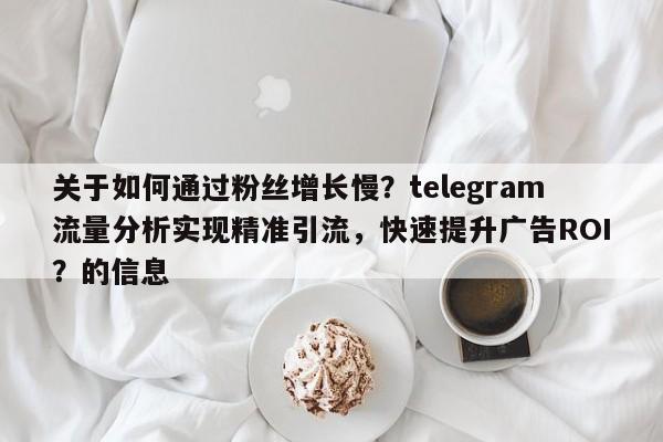 关于如何通过粉丝增长慢？telegram流量分析实现精准引流，快速提升广告ROI？的信息