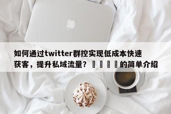 如何通过twitter群控实现低成本快速获客，提升私域流量？📈的简单介绍