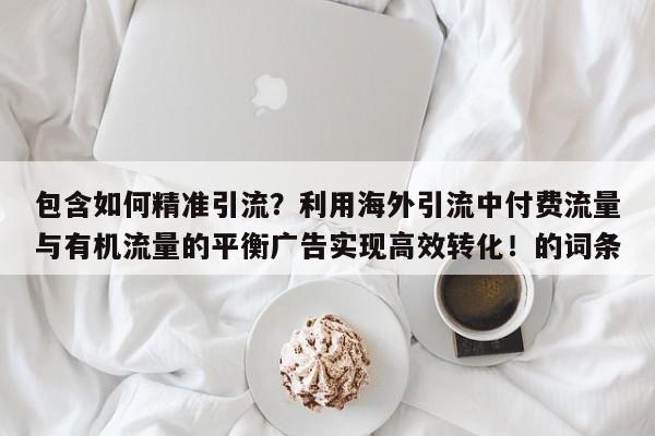 包含如何精准引流?利用海外引流中付费流量与有机流量的平衡广告实现高效转化!的词条