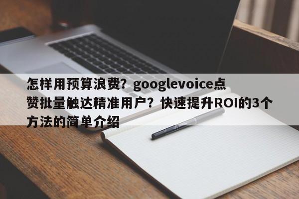 怎样用预算浪费?googlevoice点赞批量触达精准用户?快速提升ROI的3个方法的简单介绍