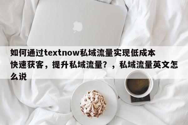 如何通过textnow私域流量实现低成本快速获客,提升私域流量?,私域流量英文怎么说