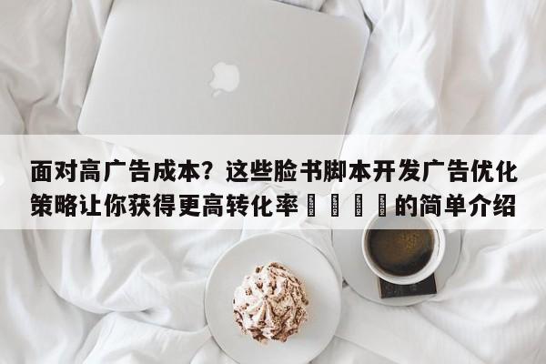 面对高广告成本?这些脸书脚本开发广告优化策略让你获得更高转化率💡的简单介绍
