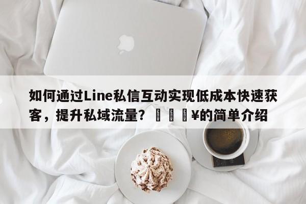 如何通过Line私信互动实现低成本快速获客，提升私域流量？💥的简单介绍