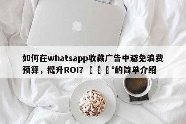 如何在whatsapp收藏广告中避免浪费预算，提升ROI？💰的简单介绍