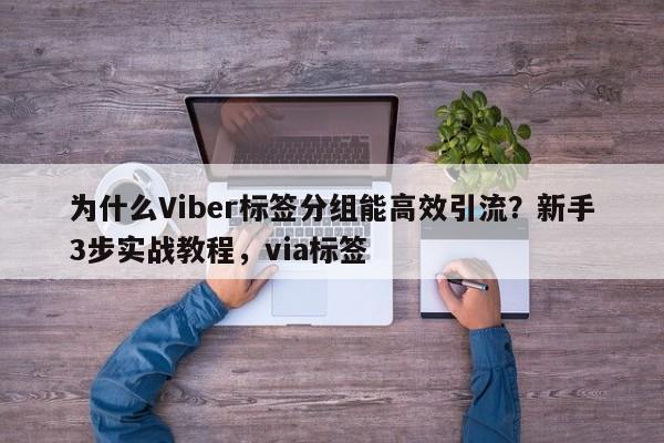 为什么Viber标签分组能高效引流？新手3步实战教程，via标签