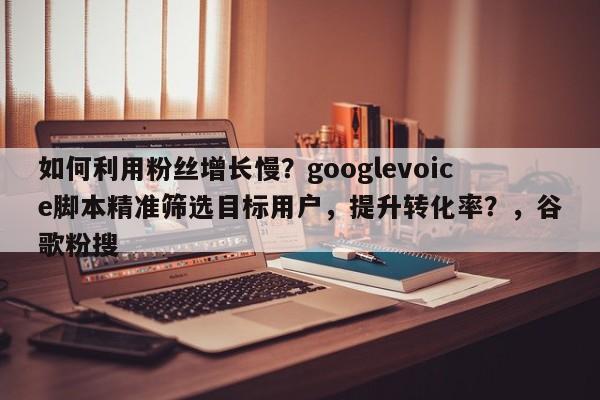 如何利用粉丝增长慢?googlevoice脚本精准筛选目标用户,提升转化率?,谷歌粉搜