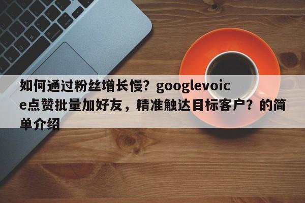 如何通过粉丝增长慢？googlevoice点赞批量加好友，精准触达目标客户？的简单介绍