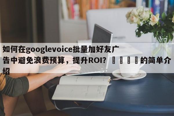 如何在googlevoice批量加好友广告中避免浪费预算，提升ROI？📣的简单介绍