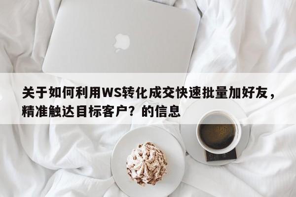 关于如何利用WS转化成交快速批量加好友,精准触达目标客户?的信息