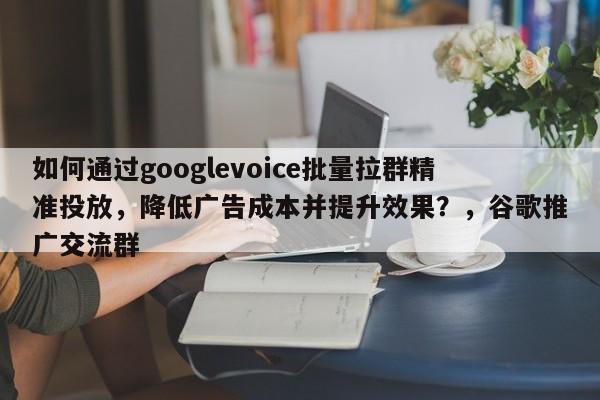 如何通过googlevoice批量拉群精准投放，降低广告成本并提升效果？，谷歌推广交流群