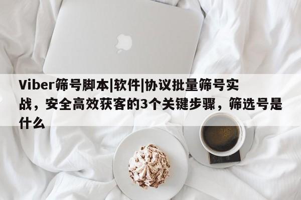 Viber筛号脚本|软件|协议批量筛号实战，安全高效获客的3个关键步骤，筛选号是什么
