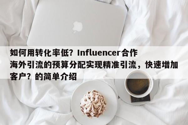如何用转化率低？Influencer合作海外引流的预算分配实现精准引流，快速增加客户？的简单介绍