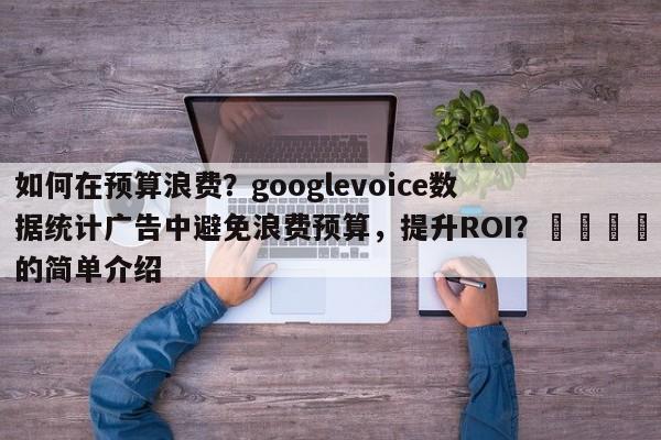 如何在预算浪费？googlevoice数据统计广告中避免浪费预算，提升ROI？📌的简单介绍