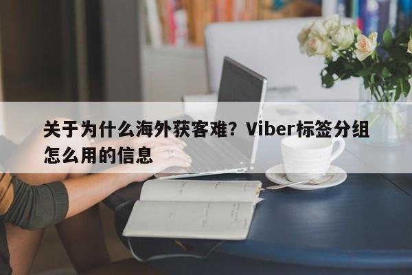 关于为什么海外获客难？Viber标签分组怎么用的信息