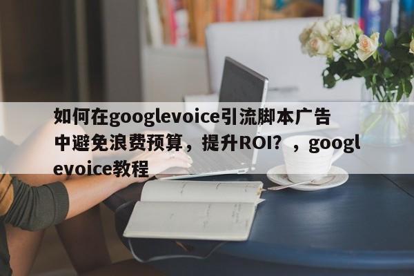 如何在googlevoice引流脚本广告中避免浪费预算，提升ROI？，googlevoice教程