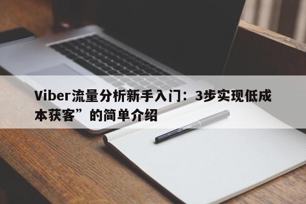 Viber流量分析新手入门：3步实现低成本获客”的简单介绍
