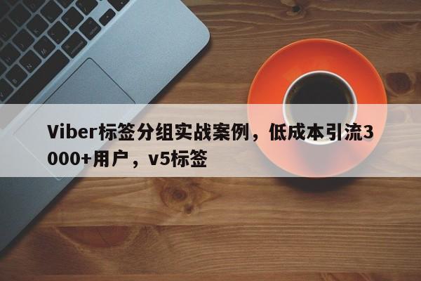 Viber标签分组实战案例，低成本引流3000+用户，v5标签