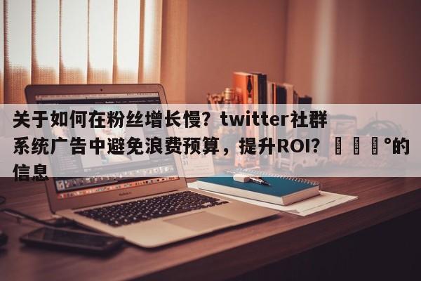 关于如何在粉丝增长慢？twitter社群系统广告中避免浪费预算，提升ROI？💰的信息