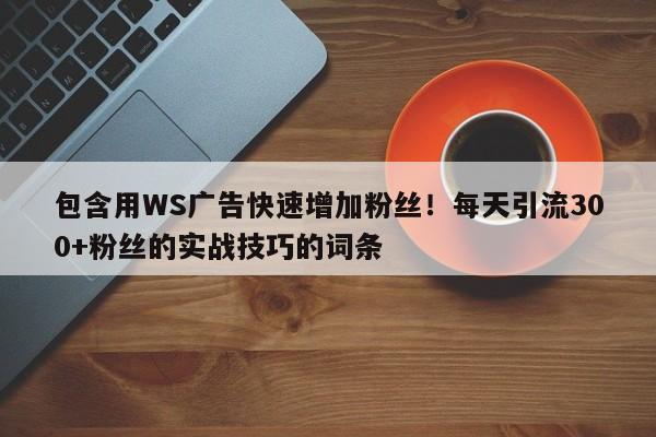 包含用WS广告快速增加粉丝!每天引流300+粉丝的实战技巧的词条