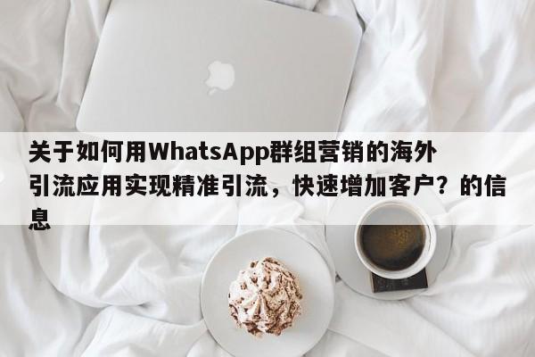 关于如何用WhatsApp群组营销的海外引流应用实现精准引流,快速增加客户?的信息
