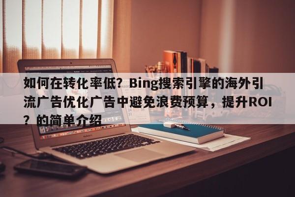 如何在转化率低?Bing搜索引擎的海外引流广告优化广告中避免浪费预算,提升ROI?的简单介绍