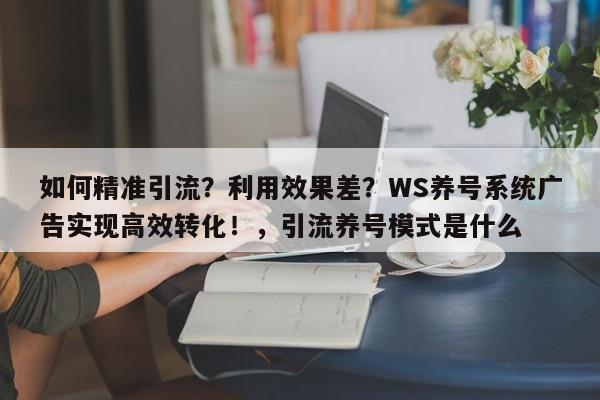 如何精准引流?利用效果差?WS养号系统广告实现高效转化!,引流养号模式是什么