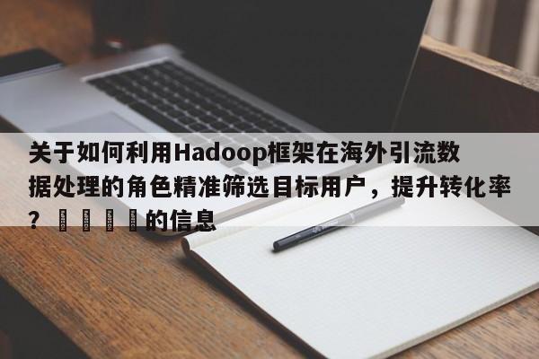 关于如何利用Hadoop框架在海外引流数据处理的角色精准筛选目标用户，提升转化率？🎯的信息
