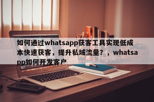 如何通过whatsapp获客工具实现低成本快速获客，提升私域流量？，whatsapp如何开发客户