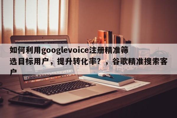 如何利用googlevoice注册精准筛选目标用户,提升转化率?,谷歌精准搜索客户