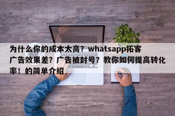 为什么你的成本太高?whatsapp拓客广告效果差?广告被封号?教你如何提高转化率!的简单介绍
