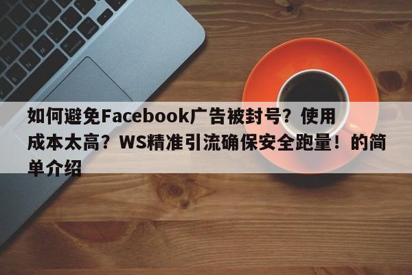 如何避免Facebook广告被封号?使用成本太高?WS精准引流确保安全跑量!的简单介绍
