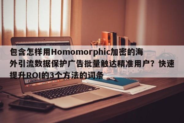 包含怎样用Homomorphic加密的海外引流数据保护广告批量触达精准用户？快速提升ROI的3个方法的词条
