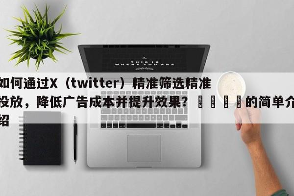 如何通过X（twitter）精准筛选精准投放，降低广告成本并提升效果？💡的简单介绍