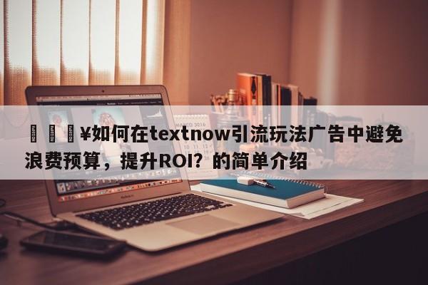 💥如何在textnow引流玩法广告中避免浪费预算，提升ROI？的简单介绍