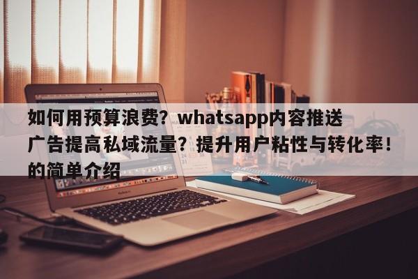如何用预算浪费?whatsapp内容推送广告提高私域流量?提升用户粘性与转化率!的简单介绍