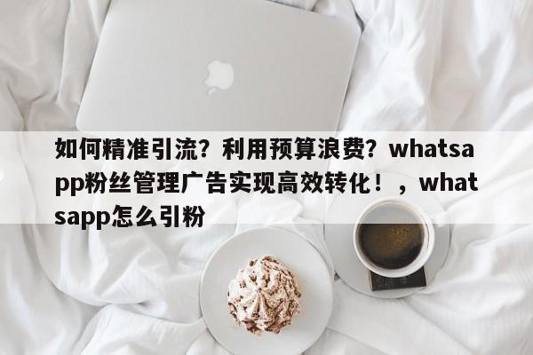 如何精准引流?利用预算浪费?whatsapp粉丝管理广告实现高效转化!,whatsapp怎么引粉