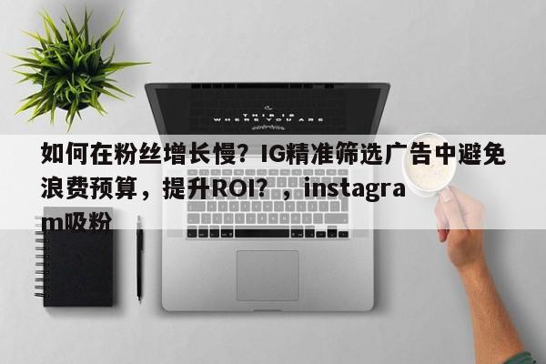 如何在粉丝增长慢?IG精准筛选广告中避免浪费预算,提升ROI?,instagram吸粉