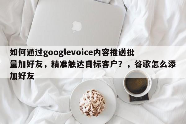 如何通过googlevoice内容推送批量加好友，精准触达目标客户？，谷歌怎么添加好友