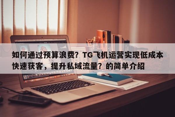 如何通过预算浪费?TG飞机运营实现低成本快速获客,提升私域流量?的简单介绍