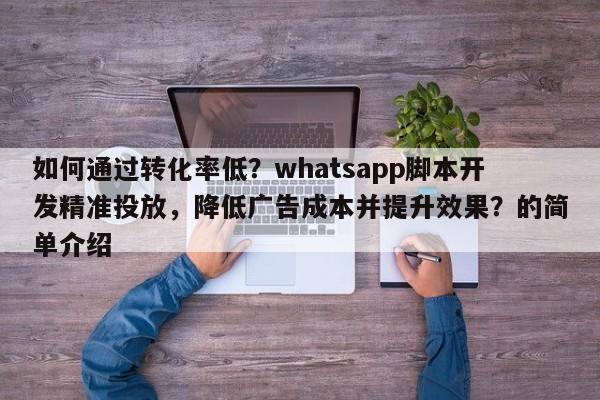 如何通过转化率低?whatsapp脚本开发精准投放,降低广告成本并提升效果?的简单介绍