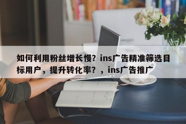 如何利用粉丝增长慢？ins广告精准筛选目标用户，提升转化率？，ins广告推广
