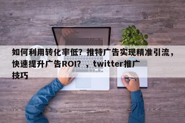 如何利用转化率低？推特广告实现精准引流，快速提升广告ROI？，twitter推广技巧
