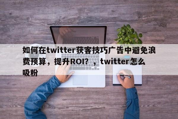 如何在twitter获客技巧广告中避免浪费预算，提升ROI？，twitter怎么吸粉