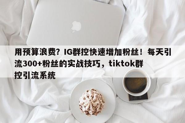 用预算浪费?IG群控快速增加粉丝!每天引流300+粉丝的实战技巧,tiktok群控引流系统