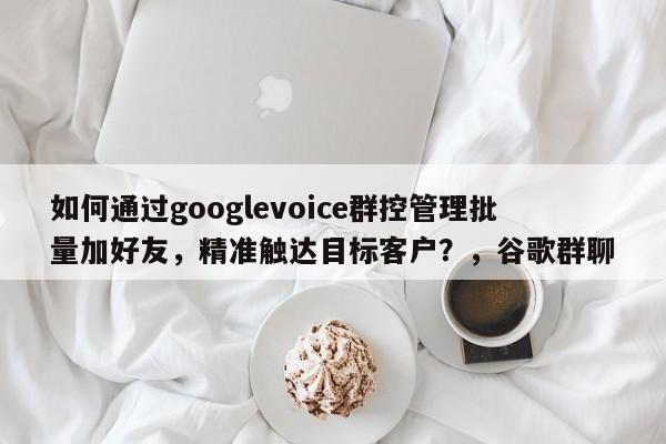 如何通过googlevoice群控管理批量加好友，精准触达目标客户？，谷歌群聊