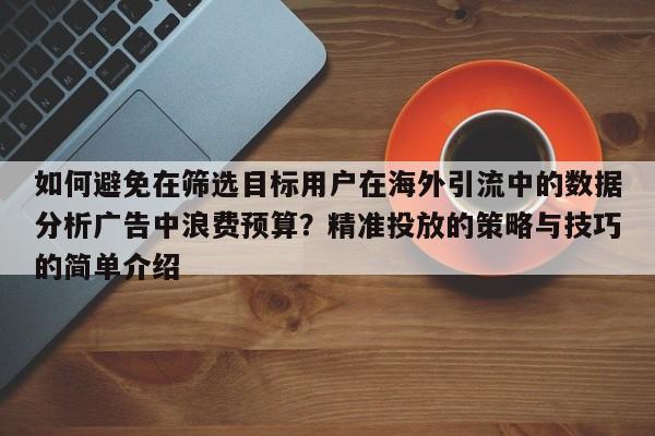 如何避免在筛选目标用户在海外引流中的数据分析广告中浪费预算?精准投放的策略与技巧的简单介绍